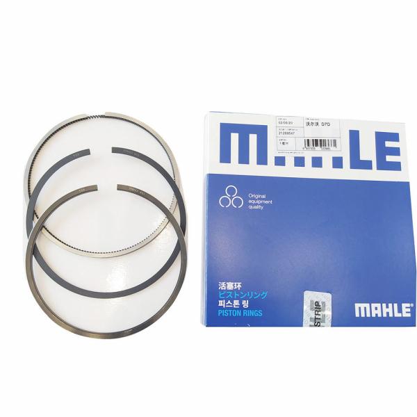 21299547 Volvo Piston Ring