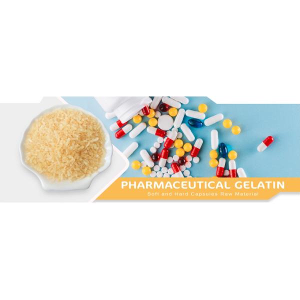 130-210 Bloom Bovine Gelatine Halal Gelatin Used In Medicine