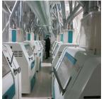 Precise Weight Control Instant Noodle Making Machine Excellent Drying Effect