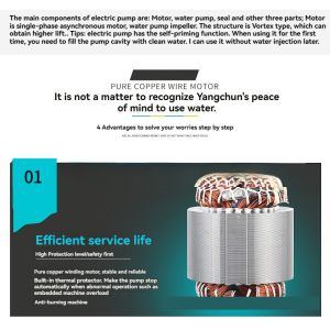 Self Priming Household High Pressure Booster Pump Stainless Steel Jet Pump 220V