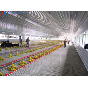 Convenient Assembly Automatic Chicken Feeder System , Broiler Chicken Drinking