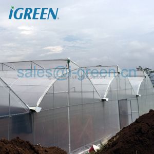 Climate Controlled Agricultural Greenhouse Hot Dipped Galvanized Steel