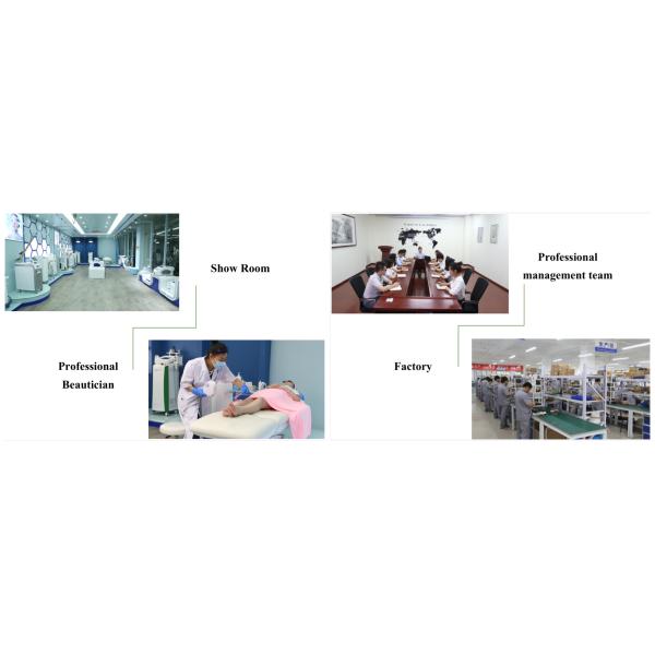 2018 latest weight loss cryo  freeze fat body slimming 4 handles cryolipolysis 