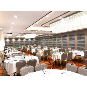 Customizable Banquet Hall Partition Wall Easy Install 85/100mm