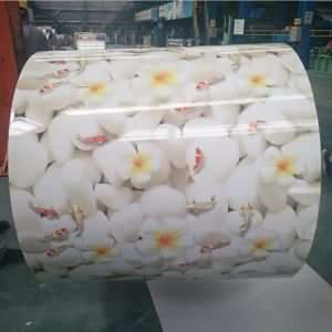 0.7x1250mm width colour coated steel coil colour coil