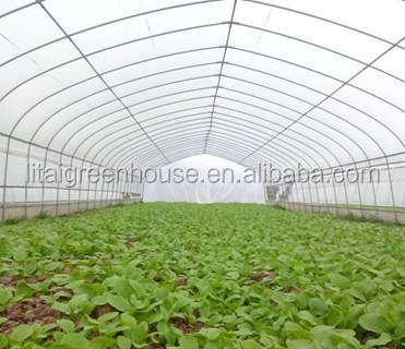 Multi Span Agriculture Greenhouse Height 3m Customized Length 50m