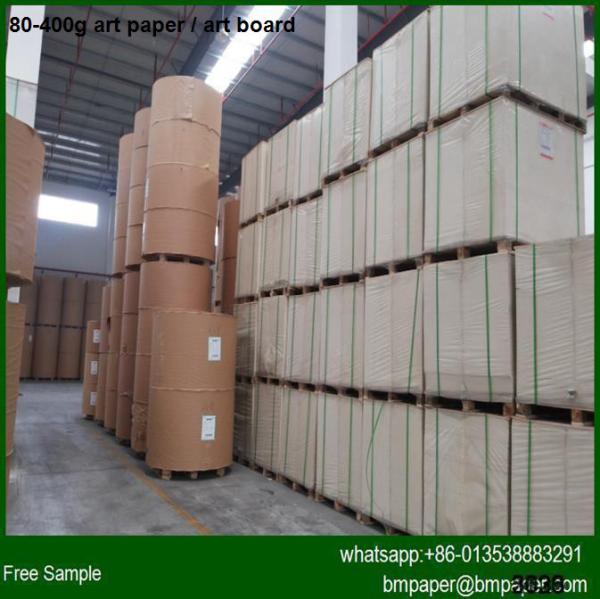 Quality C2S Coated Art Paper 100g for sale