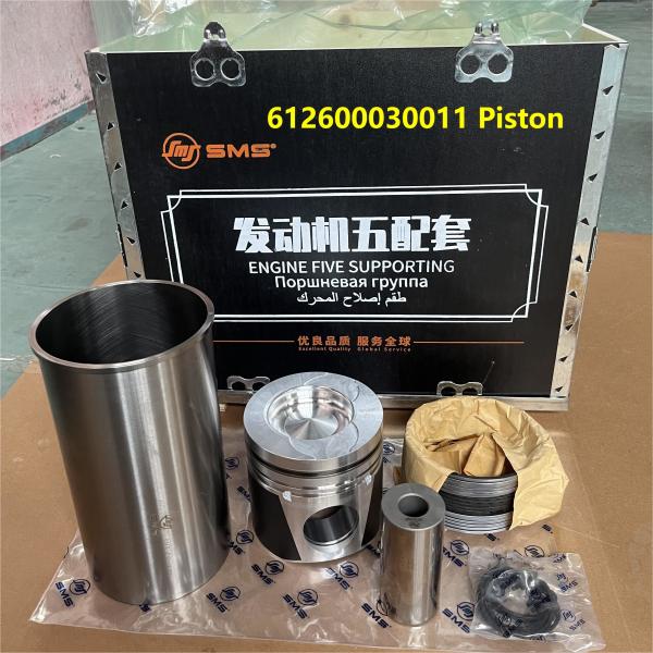 612600030011 Automotive Cylinder Sleeves WEICHAI Engine Parts WEICHAI WD615