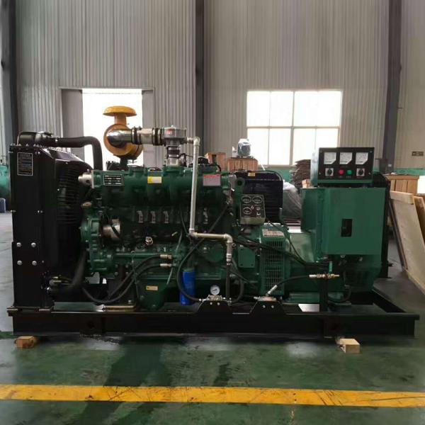 Natural / Biogas / Gas Generator Set With 50 Kw Ricardo Series Engine