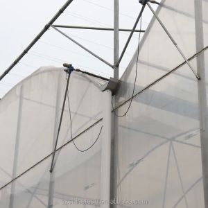 Multi Span Agricultural Film Greenhouse With Super Strong Resistance