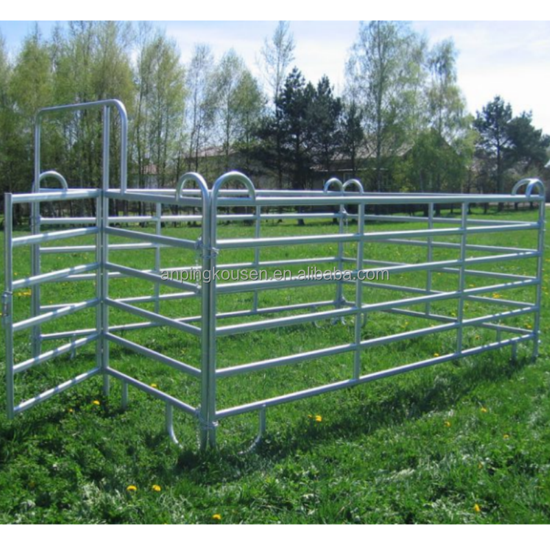 Pressure Treated Timbers Chicken Fencing for Chicken Coops in Commercial Chicken Farms