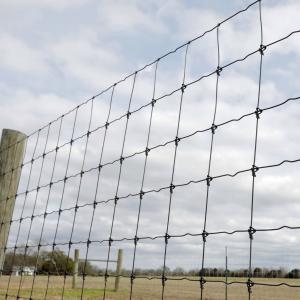 China High Strength Galvanized Fixed Knot Cattle Fence Metal Iron wholesale