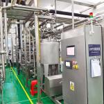 50T/H Industrial Mango Processing Line Automatic Mango Processing Plant