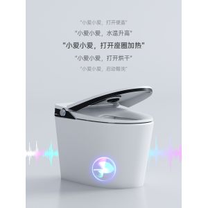 China Siphon Flushing Smart Flush Toilet One Piece Intelligent Self Washing wholesale