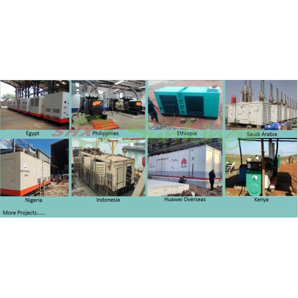 10-300W Diesel Generator For Papua New Guinea Distributor