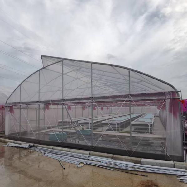 UV Resistant Single Span Greenhouse 200 Micron Plastic Film Long Lasting