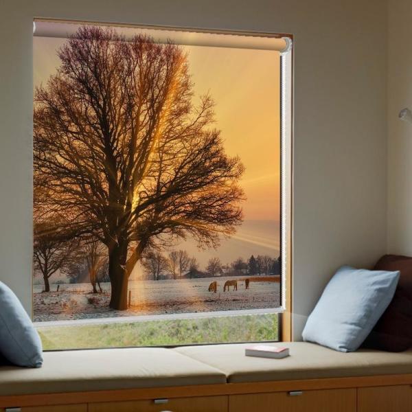 Quality Dustproof Custom Printed Roller Shades , Elegant Internal Blockout Blinds for sale