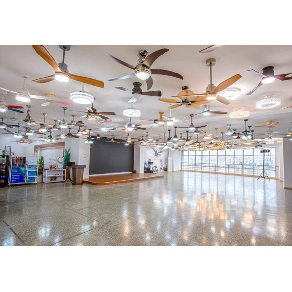 1stshine Industrial Company Limited