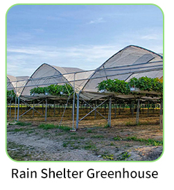 Multi-Span Agricultural Greenhouse 6m-12m Width with 150/200micron PE Film