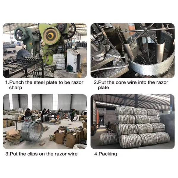 Hot Dipped Galvanized Concertina Barbed Wire Coil BTO30 Barb Wire Coil