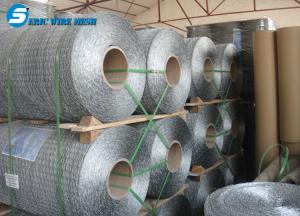 China chicken mesh galvanized hexagonal wire mesh wholesale