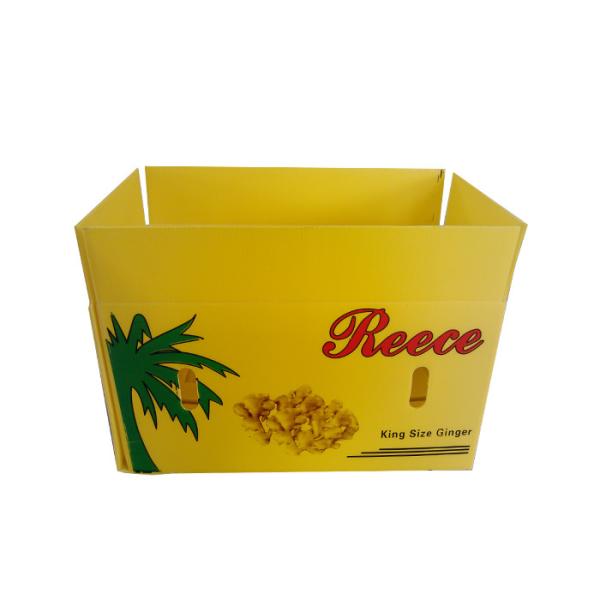 Quality PP Corrugated Plastic Box Coroplast Fruit Packaging Box Customized Recyclable Foldable for sale