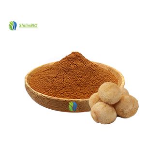 China Hericium Erinaceus Mushroom Extract 30-45% Polysaccharides wholesale