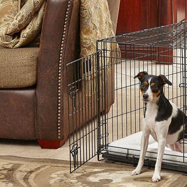 Anti-rust BWG 10 Electro Galvanized Low Carbon Steel Wire Coils for Construction Site