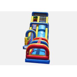China Inflatable hippo slide giant outdoor slide, inflatable water slide wholesale