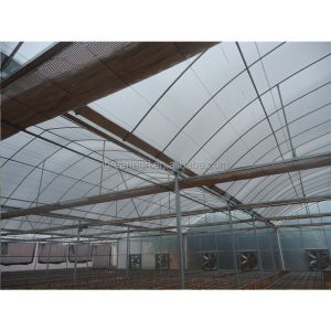 No Roof Vent Agricultural Greenhouse Vegetable Growing Single Span Greenhouse