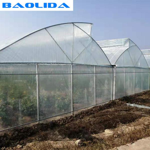High Multi Span Strong Plastic Greenhouse Saw Tooth Roof Ventilation
