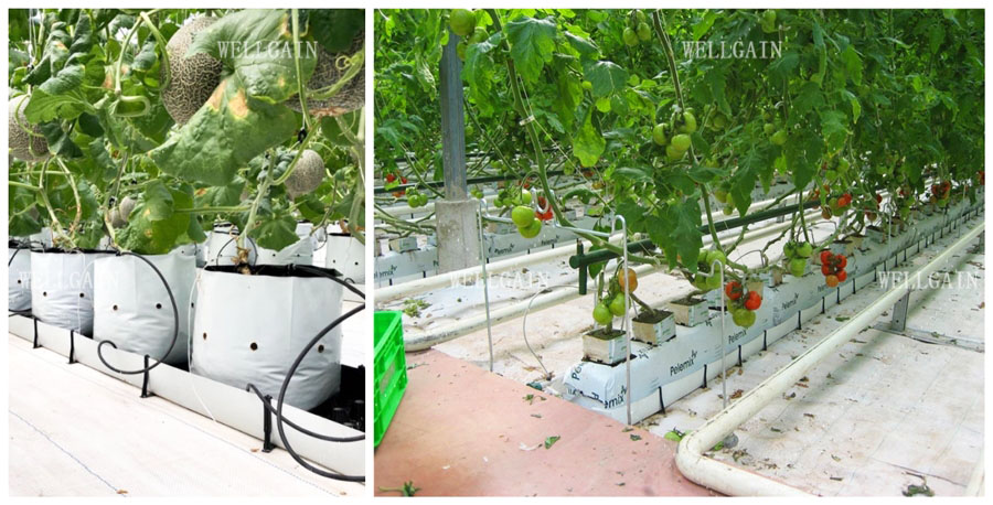 Hydroponic Plant Growth Planting Trough PP Roll Within 0.7mm Thickness