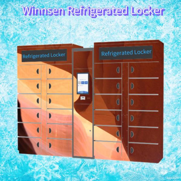 Winnsen Smart Refrigerated Locker Electronic Smart Cabinet Vegetable Lockers
