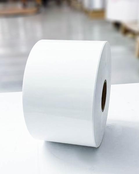 Quality Clear BOPP Adhesive Jumbo Roll Labels Paper Synthetic Movable Glue for sale