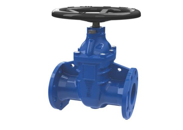 Quality Flanged A105 WCB Body CS Gate Valve RTJ Rising Stem Gate Valve Cast Steel for sale