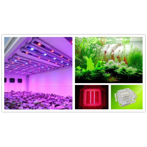 China Factory Bridgelux Epileds 20w 20v 24v 40Mil Red High Power Led Diode 620nm 660nm