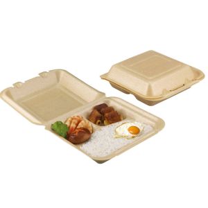 China Biodegradable disposable 3 compartment clamshell form container food packaging wholesale