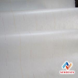 China Nomex NMN AMA Chinese aramid insulation paper for motor winding wholesale