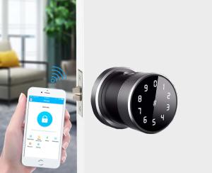 Ttlock Mobile Control Keyless Round Smart Lock FPC Sensor Fingerprint Smart Door Lock