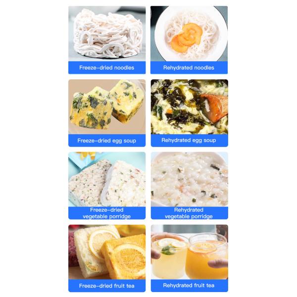 Commercial Vacuum Freeze Dryer For Fruit And Vegetable Food Freeze Dryer Lyophilization