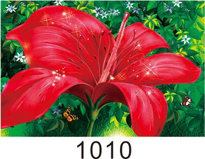 0.6mm PET+157g Coated Paper 3D Lenticular Pictures With 40*60cm Size