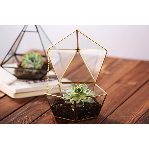 Pentagon Shaped Jewelry Glass Display Case Air Plant Terrarium Planter