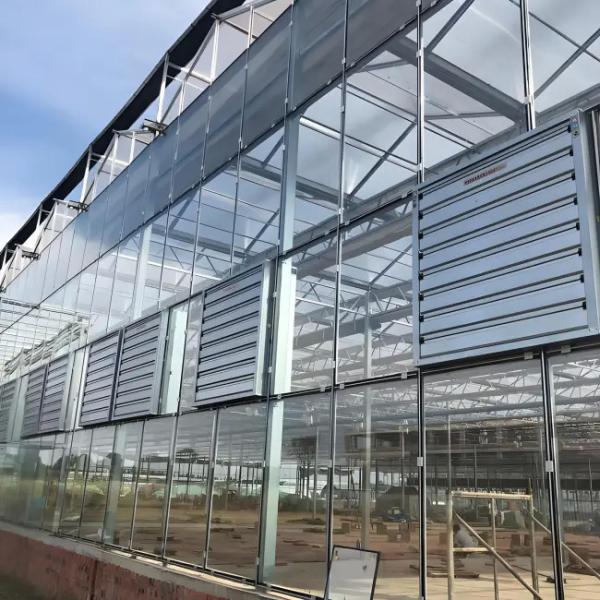 China design wholesale double glass greenhouse Venlo type polycarbonate greenhouse
