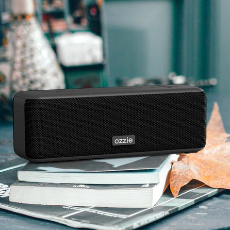 Subwoofer Audio Wireless Speaker , Bluetooth 20W Speaker Ipx7 Waterproof