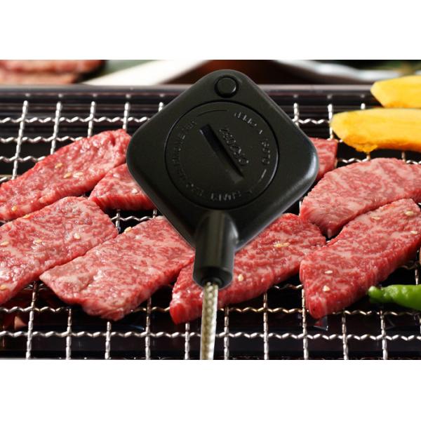 Wireless Smart Bluetooth Grill Thermometer For Outdoor BBQ Smoker Cooking