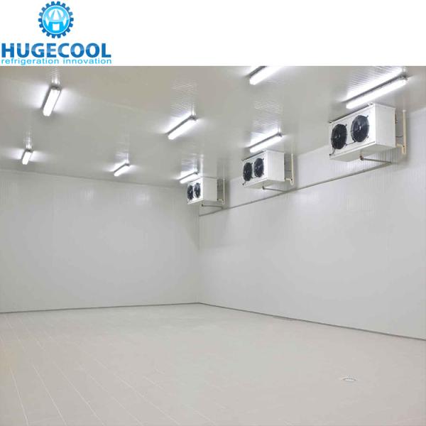 Prefabricated Modular Pu Panel Cold Room