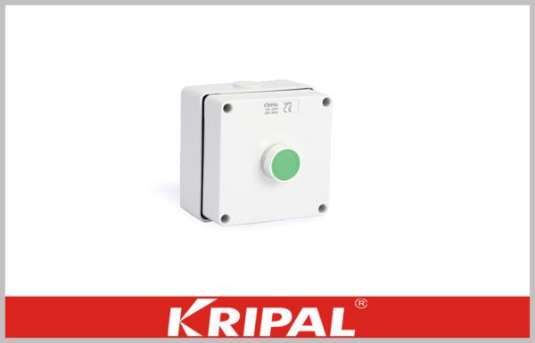 Quality CE Start Green Button Weatherproof Outdoor Sockets Push Button Power Control Box for sale
