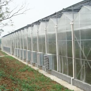 China Commercial Polycarbonate Sheet Greenhouse / PC Sheet Greenhouse Customized Material wholesale