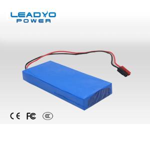 China 24V 10Ah Lithium Ion Iron Phosphate Battery Customized With RS485 wholesale