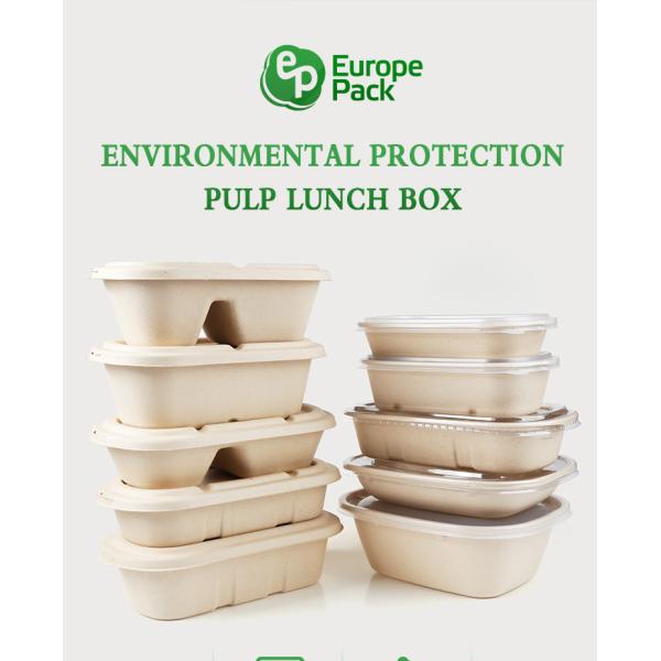 TUV 6 Inch 5 Inch Moulded Clamshell Mini Burger Box